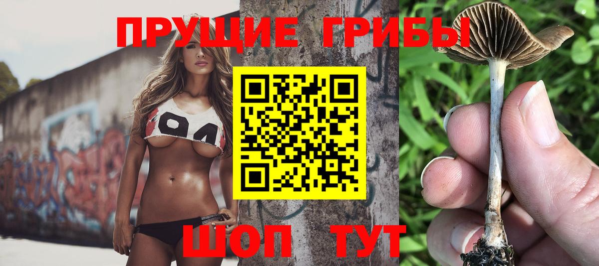 Обь  Галлюциногенные грибы Magic Shrooms  Вход с VPN 