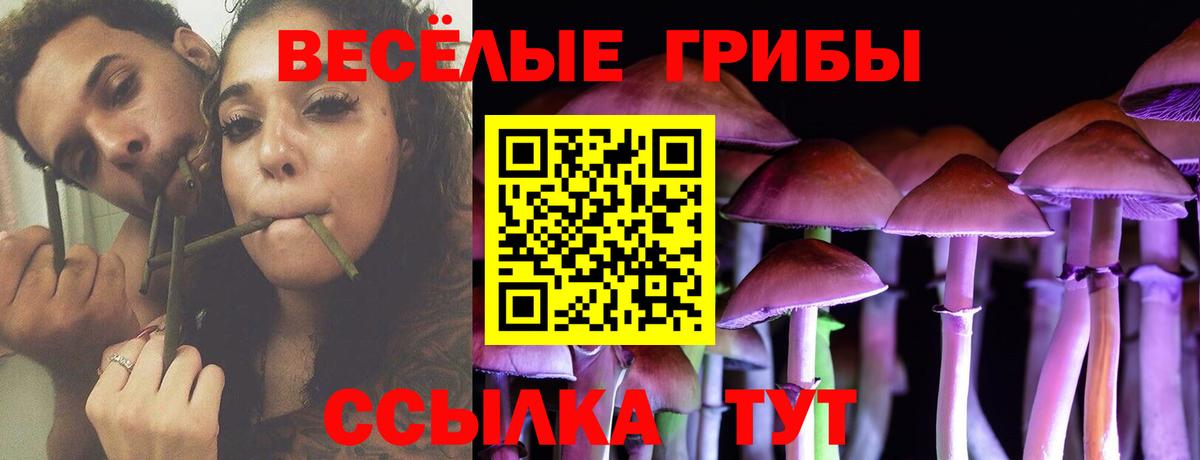 Псилоцибиновые грибы прущие грибы Обь